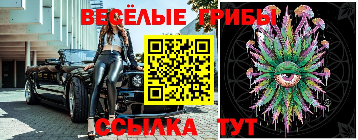 Спасск-Дальний  Галлюциногенные грибы ЛСД  Галлюциногенные грибы GOLDEN TEACHER  наркота  Вход с VPN 